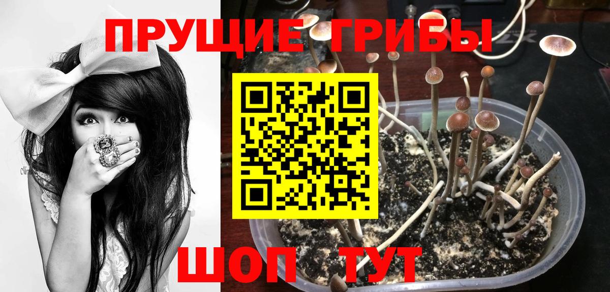 Галлюциногенные грибы ЛСД Дивногорск